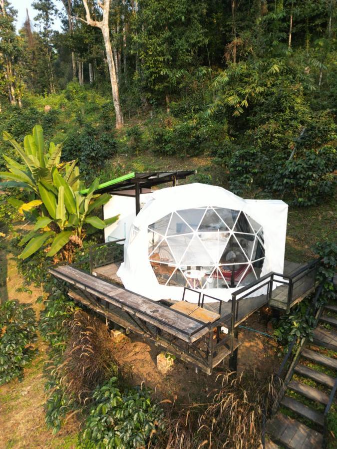 Luxury tent เตนท์โดมชายดอย ดอยแม่แจ๋ม ลำปาง